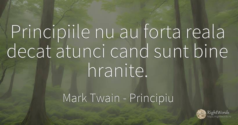Principiile nu au forta reala decat atunci cand sunt bine... - Mark Twain, citat despre principiu, forță, bine