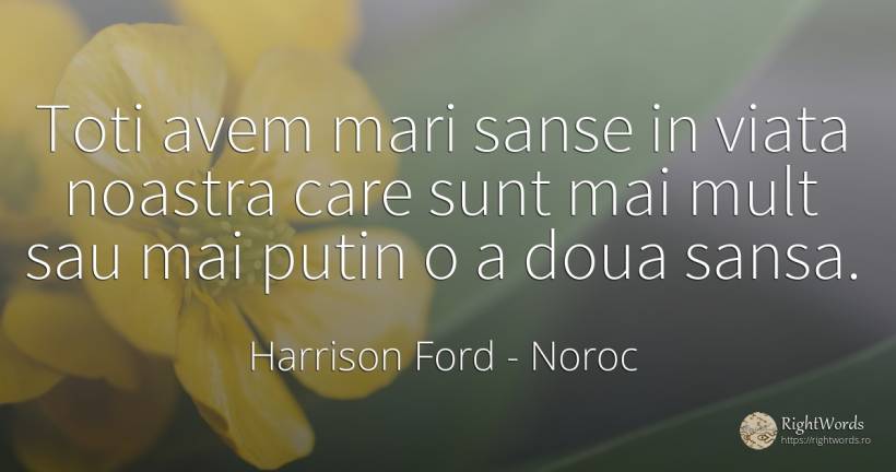 Toti avem mari sanse in viata noastra care sunt mai mult... - Harrison Ford, citat despre noroc, șansă, viață