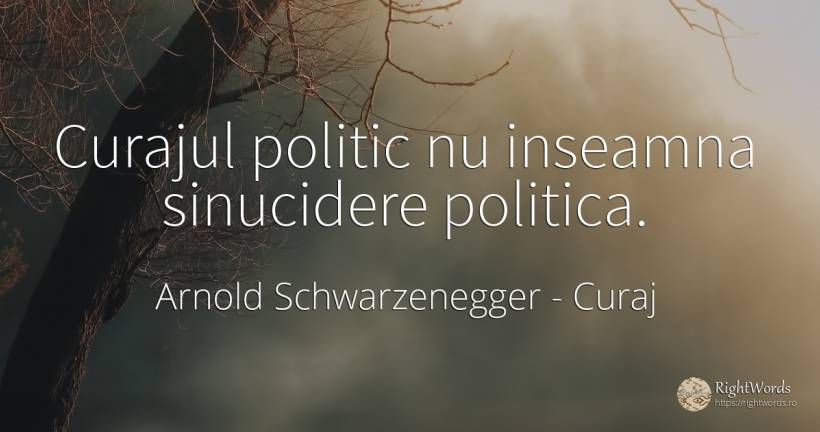 Curajul politic nu inseamna sinucidere politica. - Arnold Schwarzenegger, citat despre curaj, politică