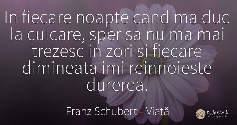 In fiecare noapte cand ma duc la culcare, sper sa nu ma... - Franz Schubert, citat despre viață, durere, noapte