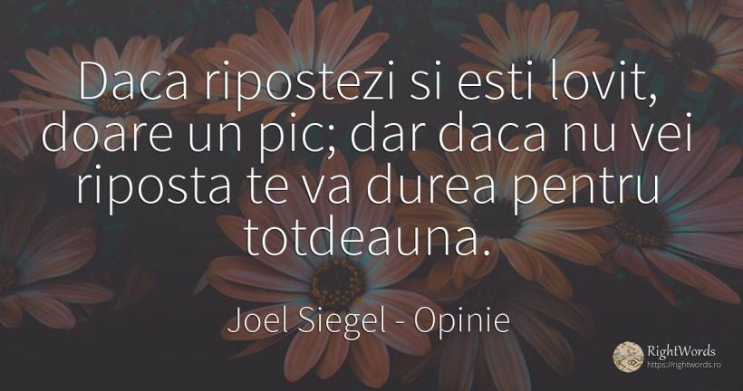 Daca ripostezi si esti lovit, doare un pic; dar daca nu... - Joel Siegel, citat despre opinie