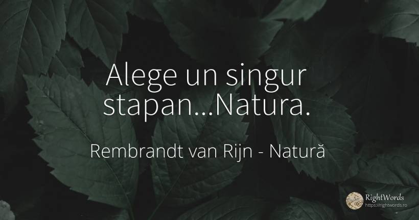 Alege un singur stapan...Natura. - Rembrandt van Rijn, citat despre natură, singurătate