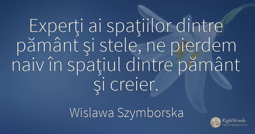 Experţi ai spaţiilor dintre pământ şi stele, ne pierdem... - Wislawa Szymborska, citat despre naivitate, creier, pământ, stele