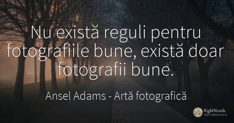 Nu există reguli pentru fotografiile bune, există doar... - Ansel Adams, citat despre artă fotografică, artă, reguli