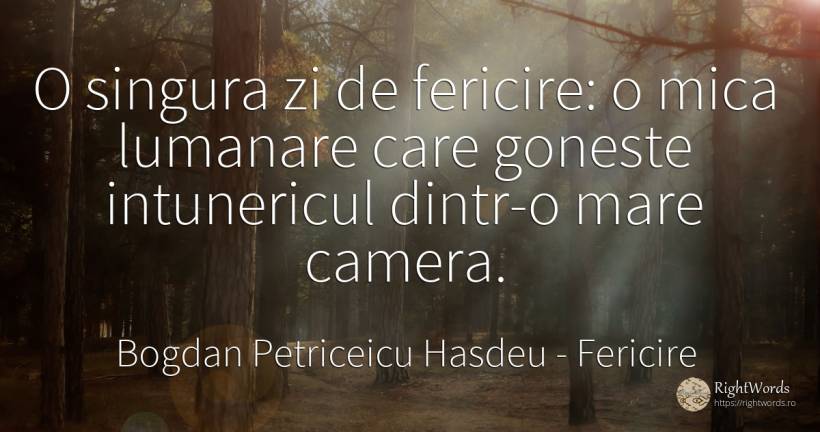 O singura zi de fericire: o mica lumanare care goneste... - Bogdan Petriceicu Hasdeu, citat despre fericire, întuneric