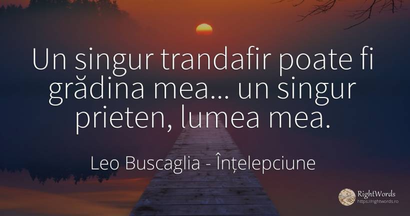 Un singur trandafir poate fi grădina mea... un singur... - Leo Buscaglia, citat despre înțelepciune, singurătate, prietenie, zi de naștere, lume
