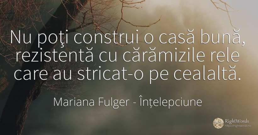 Nu poţi construi o casă bună, rezistentă cu cărămizile... - Mariana Fulger, citat despre înțelepciune, acasă, casă