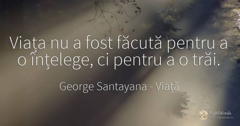 Viața nu a fost făcută pentru a o înțelege, ci pentru a o... - George Santayana, citat despre viață