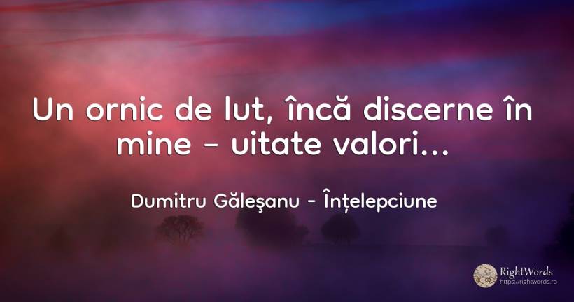 Un ornic de lut, încă discerne în mine – uitate valori... - Dumitru Găleşanu, citat despre înțelepciune