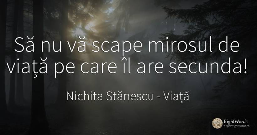 Să nu vă scape mirosul de viață pe care îl are secunda! - Nichita Stănescu, citat despre viață