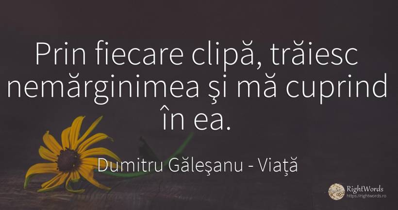 Prin fiecare clipă, trăiesc nemărginimea şi mă cuprind în... - Dumitru Găleşanu, citat despre viață