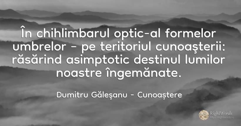 În chihlimbarul optic-al formelor umbrelor – pe... - Dumitru Găleşanu, citat despre cunoaștere