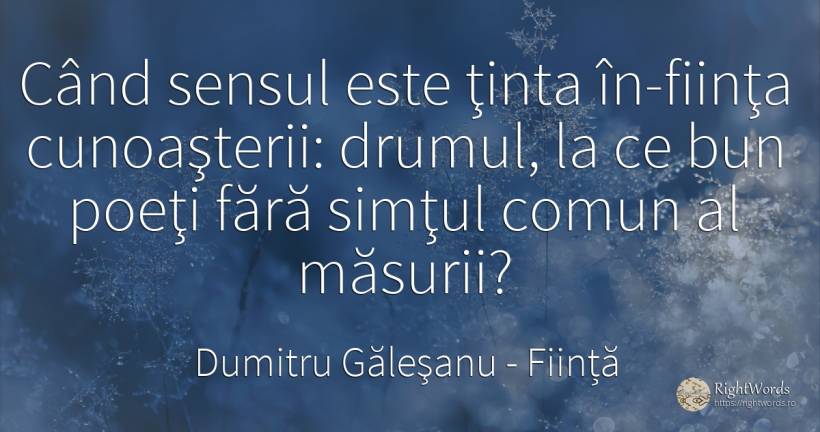 Când sensul este ţinta în-fiinţa cunoaşterii: drumul, la... - Dumitru Găleşanu, citat despre ființă