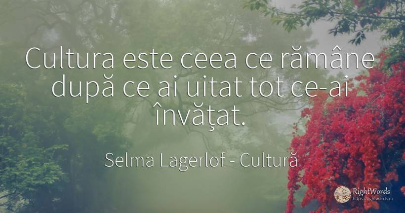 Cultura este ceea ce rămâne după ce ai uitat tot ce-ai... - Selma Lagerlof, citat despre cultură, uitare