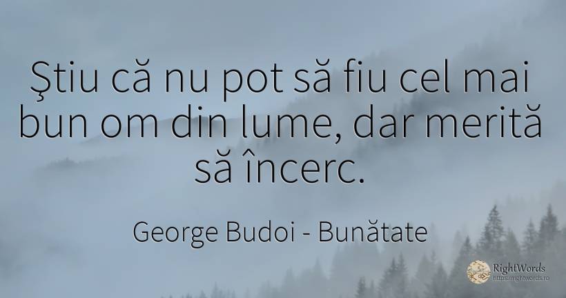 Ştiu că nu pot să fiu cel mai bun om din lume, dar merită... - George Budoi, citat despre bunătate