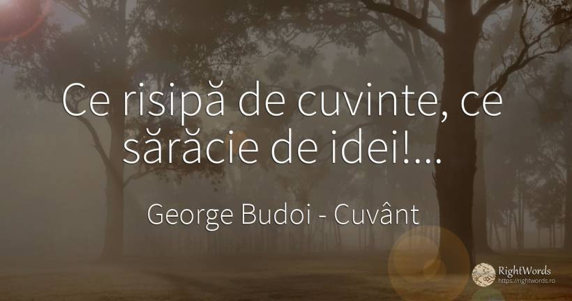 Ce risipă de cuvinte, ce sărăcie de idei!... - George Budoi, citat despre cuvânt