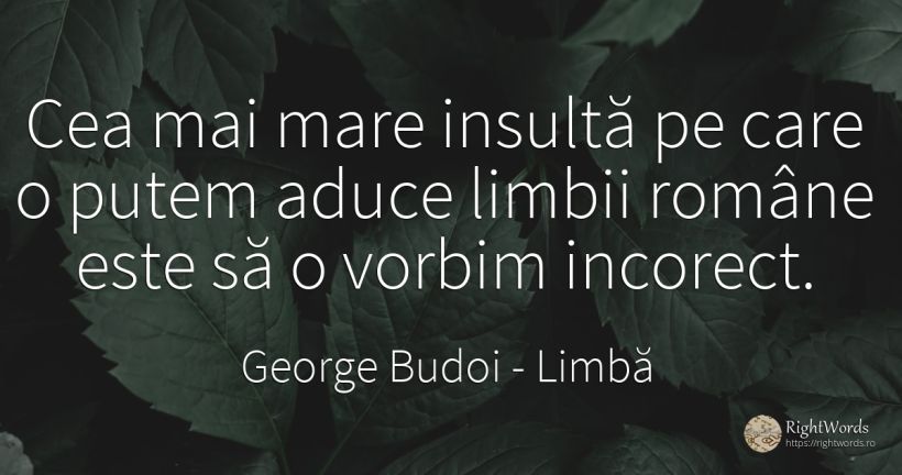 Cea mai mare insultă pe care o putem aduce limbii române... - George Budoi, citat despre limbă