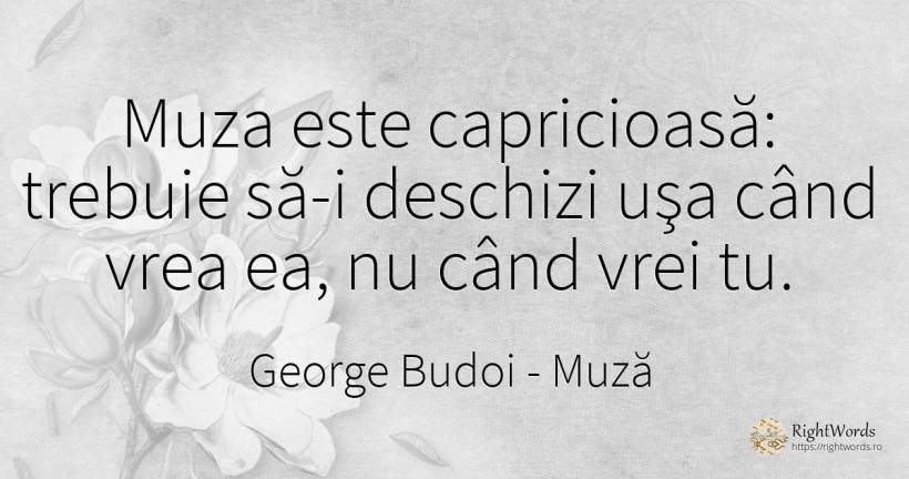 Muza este capricioasă: trebuie să-i deschizi uşa când... - George Budoi, citat despre muză