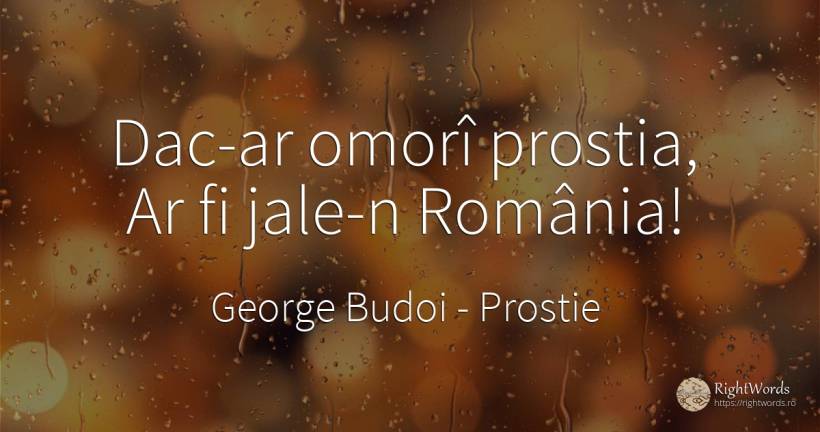 Dac-ar omorî prostia, Ar fi jale-n România! - George Budoi, citat despre prostie