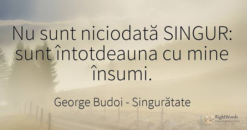 Nu sunt niciodată SINGUR: sunt întotdeauna cu mine însumi. - George Budoi, citat despre singurătate