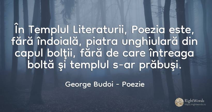 În Templul Literaturii, Poezia este, fără îndoială, ... - George Budoi, citat despre poezie