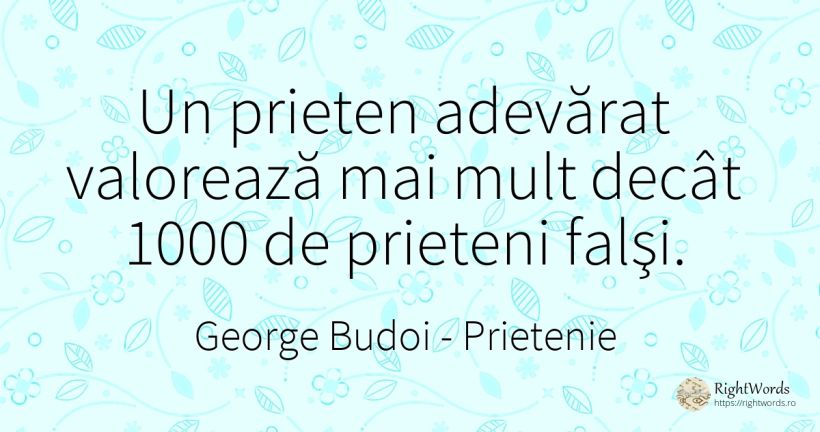 Un prieten adevărat valorează mai mult decât 1000 de... - George Budoi, citat despre prietenie