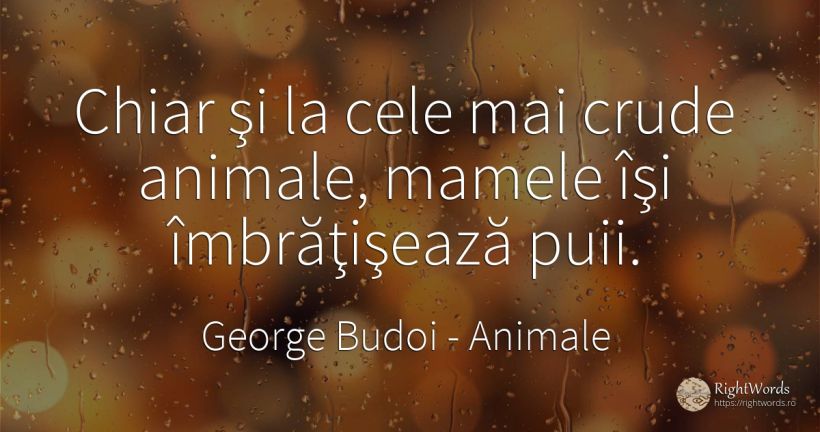 Chiar şi la cele mai crude animale, mamele îşi... - George Budoi, citat despre animale