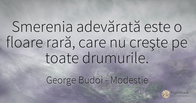 Smerenia adevărată este o floare rară, care nu creşte pe... - George Budoi, citat despre modestie