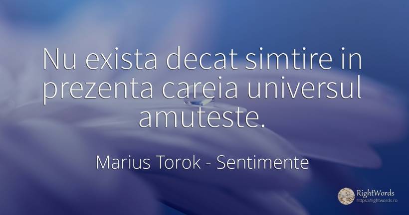 Nu exista decat simtire in prezenta careia universul... - Marius Torok (Darius Domcea), citat despre sentimente, univers