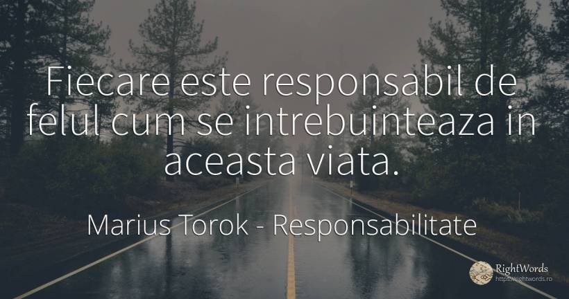 Fiecare este responsabil de felul cum se intrebuinteaza... - Marius Torok (Darius Domcea), citat despre responsabilitate, viață