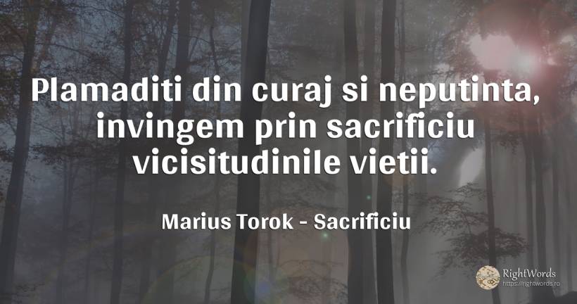 Plamaditi din curaj si neputinta, invingem prin... - Marius Torok (Darius Domcea), citat despre sacrificiu, curaj, viață