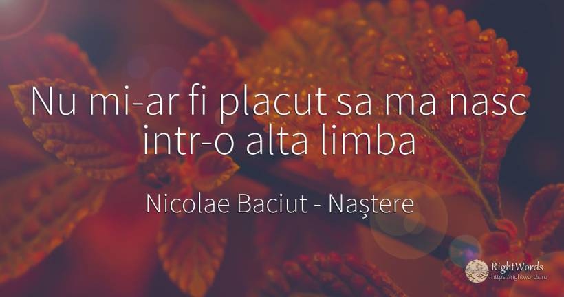 Nu mi-ar fi placut sa ma nasc intr-o alta limba - Nicolae Baciut, citat despre naștere, limbă