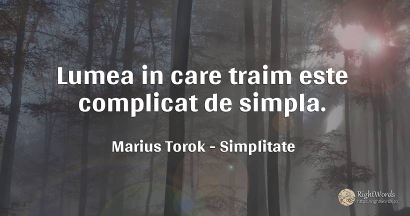 Lumea in care traim este complicat de simpla. - Marius Torok (Darius Domcea), citat despre simplitate, lume