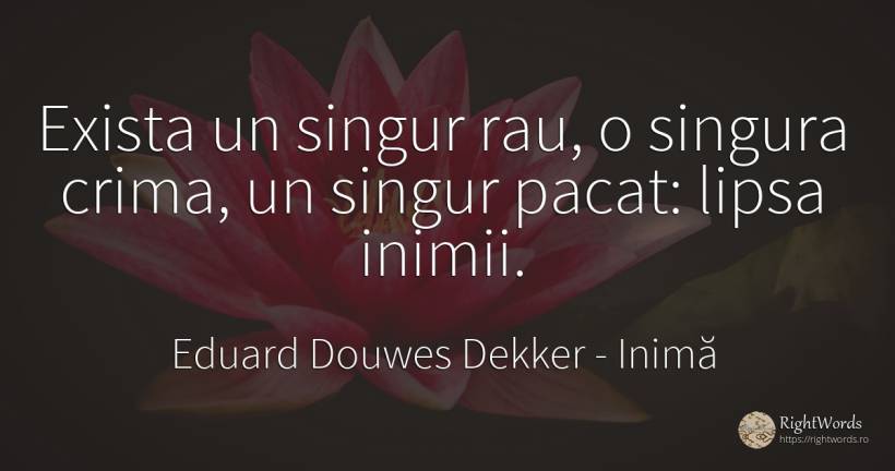 Exista un singur rau, o singura crima, un singur pacat:... - Eduard Douwes Dekker (Multatuli), citat despre inimă, singurătate, crimă, infractori, păcat, rău