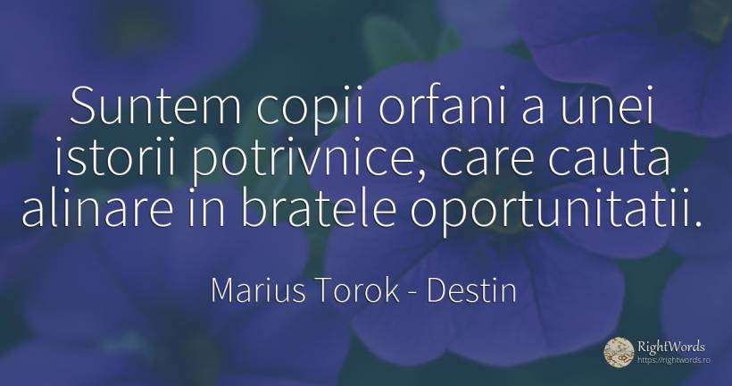 Suntem copii orfani a unei istorii potrivnice, care cauta... - Marius Torok (Darius Domcea), citat despre destin, istorie, copii, căutare