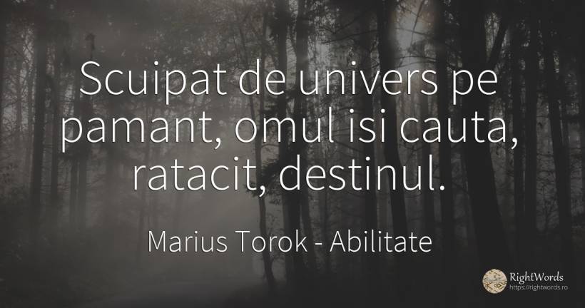 Scuipat de univers pe pamant, omul isi cauta, ratacit, ... - Marius Torok (Darius Domcea), citat despre abilitate, univers, destin, căutare, pământ, oameni