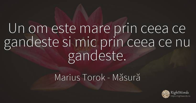 Un om este mare prin ceea ce gandeste si mic prin ceea ce... - Marius Torok (Darius Domcea), citat despre măsură