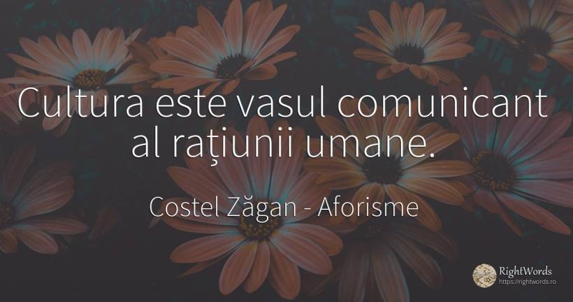 Cultura este vasul comunicant al rațiunii umane. - Costel Zăgan, citat despre aforisme, rațiune, cultură, imperfecțiuni umane
