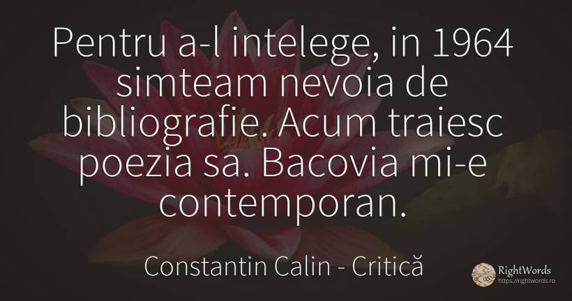 Pentru a-l intelege, in 1964 simteam nevoia de... - Constantin Calin, citat despre critică, nevoie, poezie