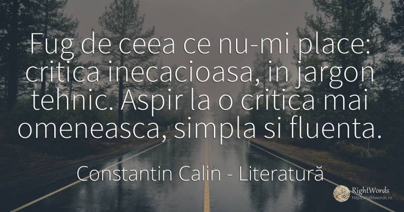 Fug de ceea ce nu-mi place: critica inecacioasa, in... - Constantin Calin, citat despre literatură, critică, critică literară