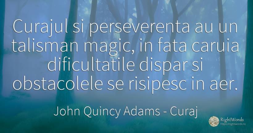 Curajul si perseverenta au un talisman magic, in fata... - John Quincy Adams, citat despre curaj, perseverență, magie, aer, față