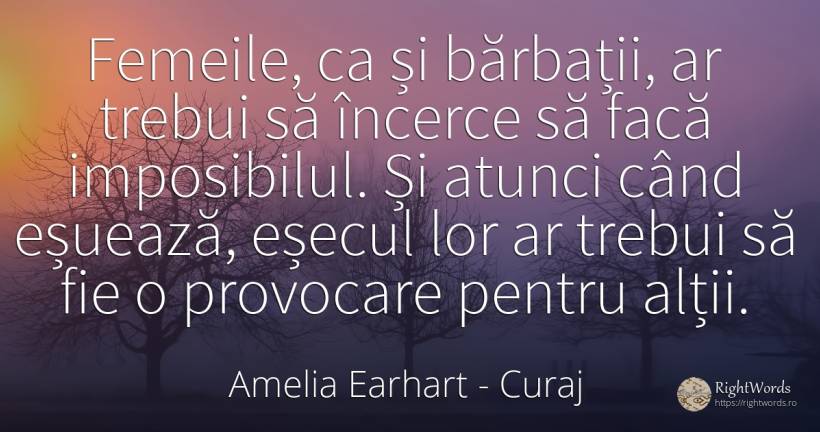 Femeile, ca și bărbații, ar trebui să încerce să facă... - Amelia Earhart, citat despre curaj, imposibil, eșec, bărbat, femeie