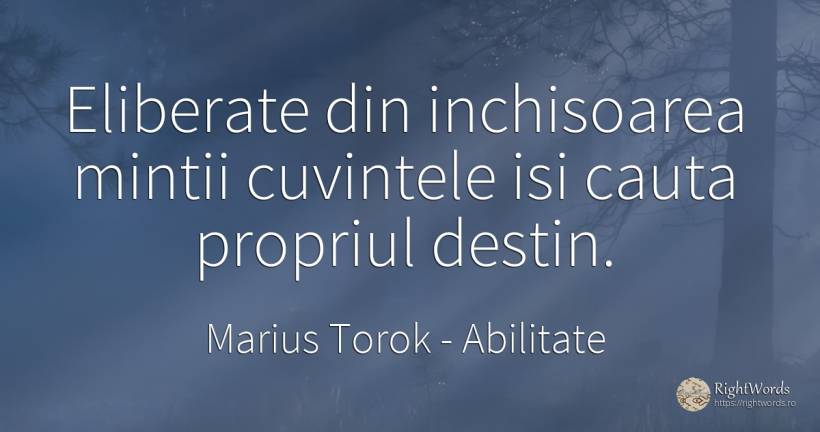 Eliberate din inchisoarea mintii cuvintele isi cauta... - Marius Torok (Darius Domcea), citat despre abilitate, destin, cuvânt, căutare