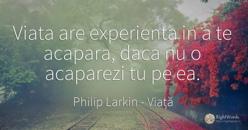 Viata are experienta in a te acapara, daca nu o acaparezi... - Philip Larkin, citat despre viață, experiență