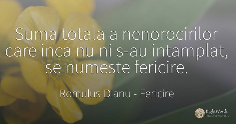 Suma totala a nenorocirilor care inca nu ni s-au... - Romulus Dianu (Romulus Dima), citat despre fericire