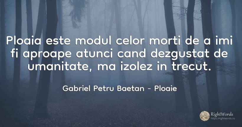 Ploaia este modul celor morti de a imi fi aproape atunci... - Gabriel Petru Baetan, citat despre ploaie, moarte, trecut