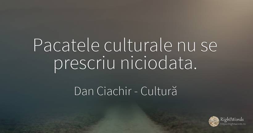 Pacatele culturale nu se prescriu niciodata. - Dan Ciachir, citat despre cultură, păcat