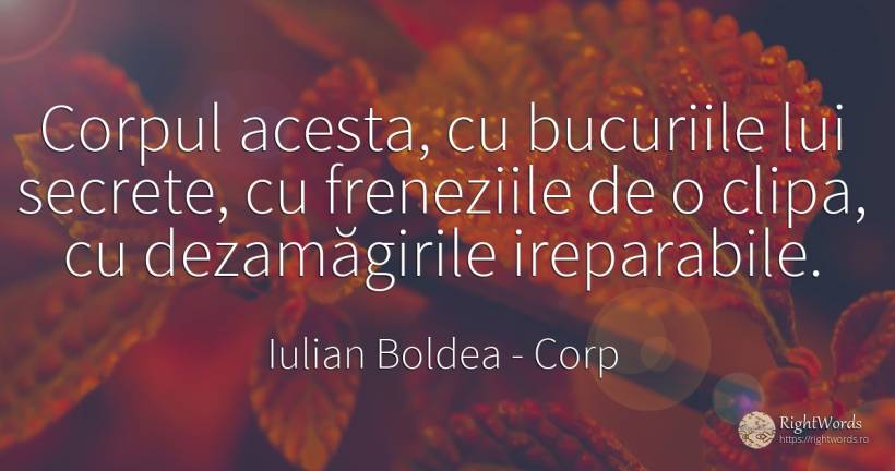 Corpul acesta, cu bucuriile lui secrete, cu freneziile de... - Iulian Boldea, citat despre corp, decepție, secret, bucurie, clipă