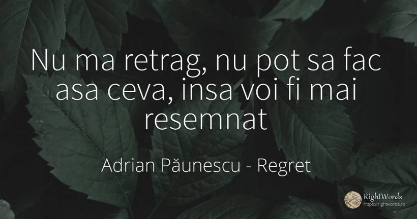Nu ma retrag, nu pot sa fac asa ceva, insa voi fi mai... - Adrian Păunescu, citat despre regret