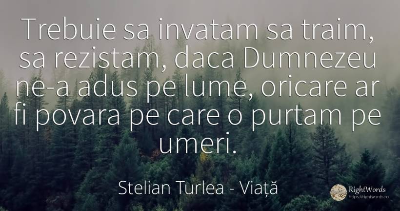 Trebuie sa invatam sa traim, sa rezistam, daca Dumnezeu... - Stelian Turlea, citat despre viață, povară, lume, dumnezeu